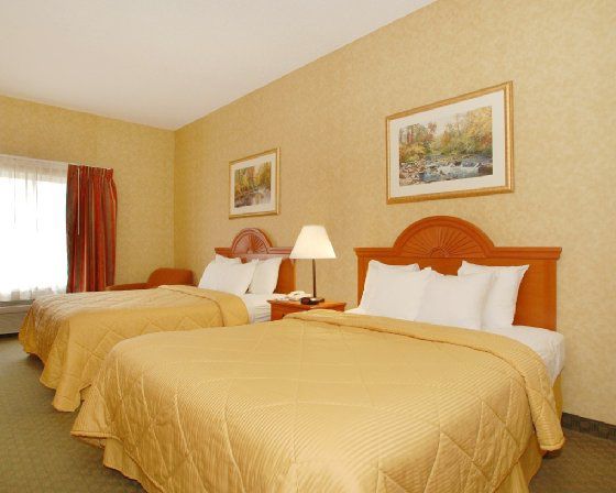 Quality Inn & Suites Rockport-Owensboro North Gold Award Winner Room photo
